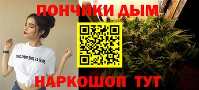 индика Нарткала