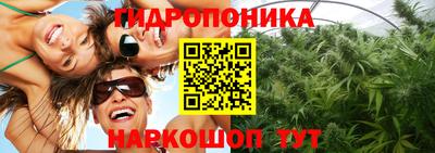 индика Нарткала