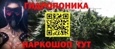 индика Нальчик