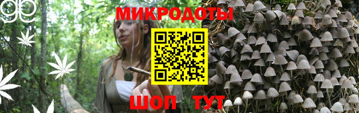 Галлюциногенные грибы Psilocybine cubensis Ступино
